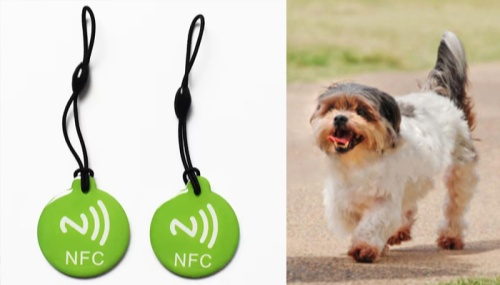 讓RFID守護自然 讓RFID守護自然