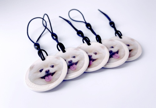 讓RFID守護自然 讓RFID守護自然